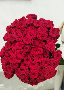 Роза красная "Рэд Наоми"60см.